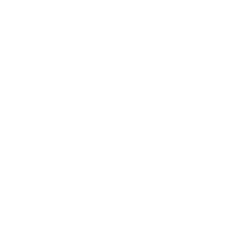 Bisestile official